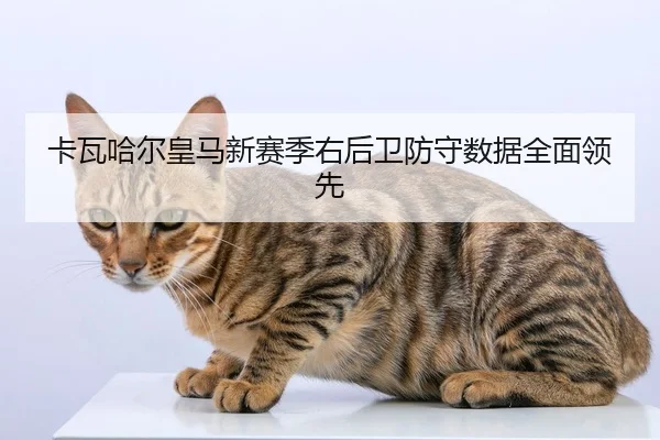卡瓦哈尔皇马新赛季右后卫防守数据全面领先