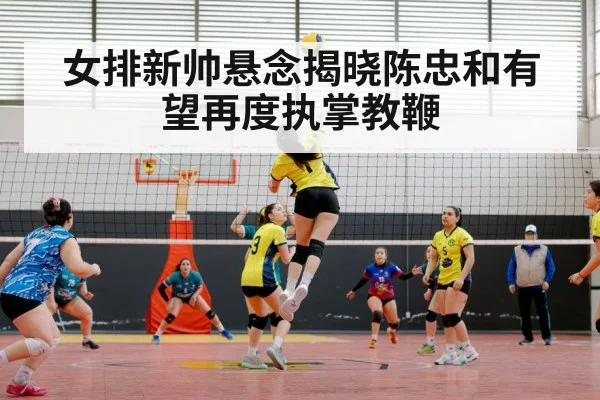 女排新帅悬念揭晓陈忠和有望再度执掌教鞭