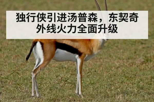 独行侠引进汤普森，东契奇外线火力全面升级