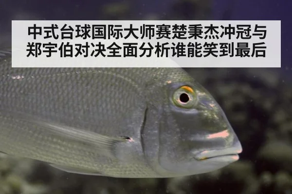 中式台球国际大师赛楚秉杰冲冠与郑宇伯对决全面分析谁能笑到最后